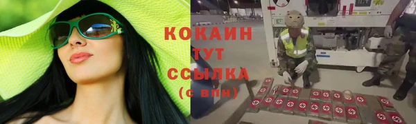 2c-b Алзамай