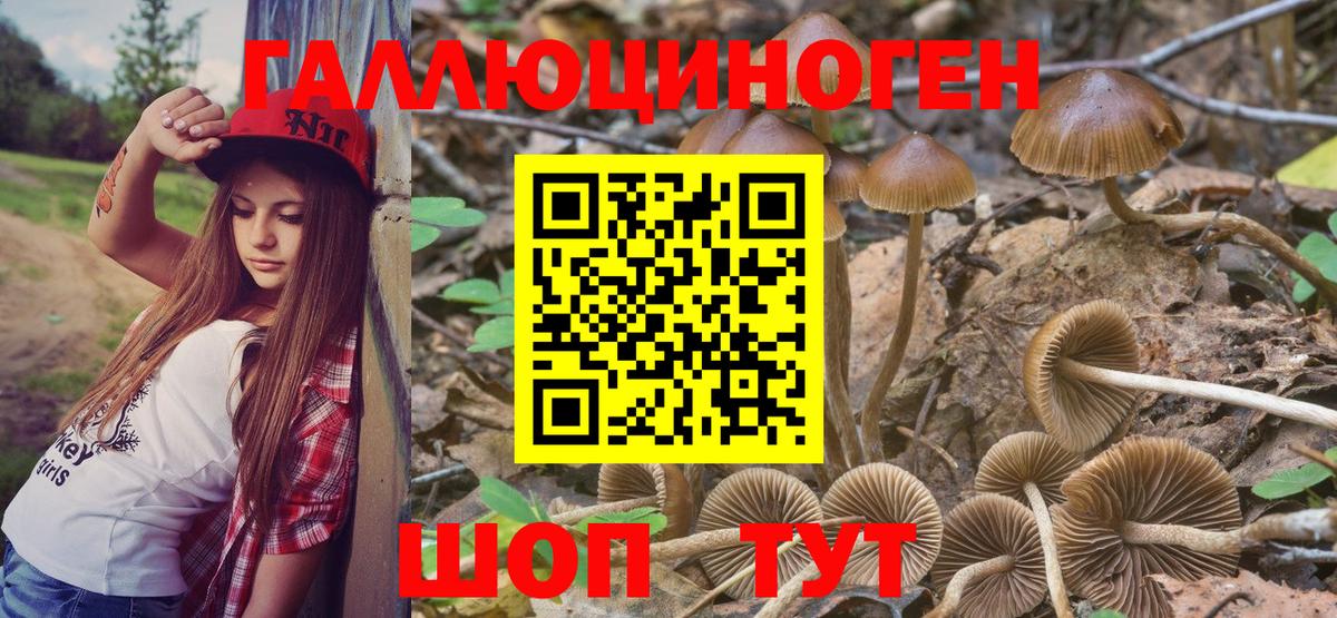 Псилоцибиновые грибы Cubensis  Вход с VPN  Самара 