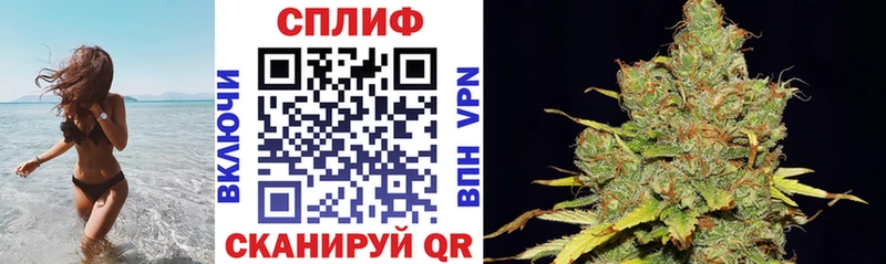 Канабис ГИДРОПОН  Самара 